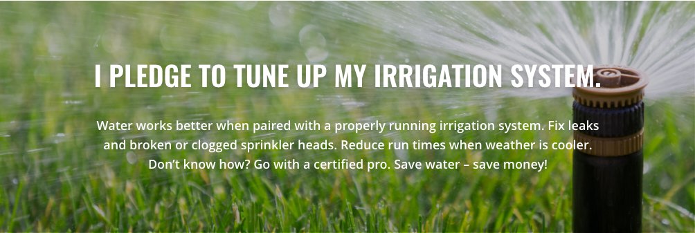 Make Water Work - Take the challenge! | Okanagan WaterWise