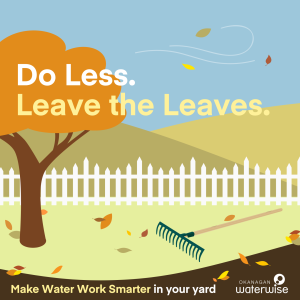 Leave the leaves in fall to help keep water in your yard and feed insects and animals in the winter.