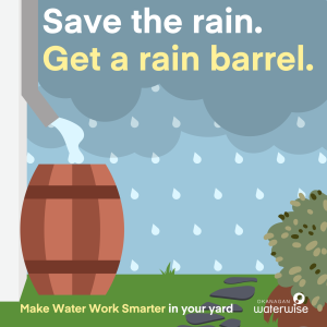 Save water when it rains with a rain barrel.